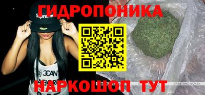 прущие крисы Кулебаки