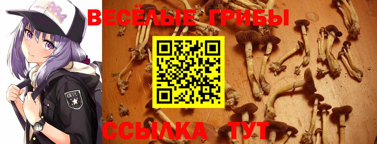Галлюциногенные грибы ЛСД Звенигород
