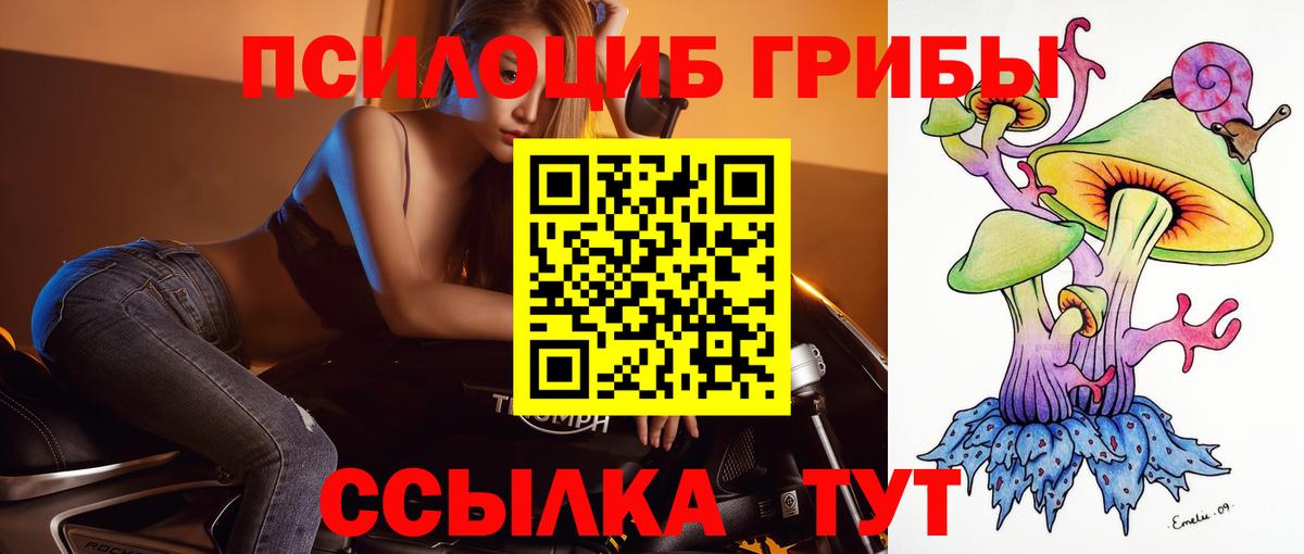 Псилоцибиновые грибы GOLDEN TEACHER  купить наркотики сайты  Вход с VPN  Звенигород  Псилоцибиновые грибы прущие грибы 